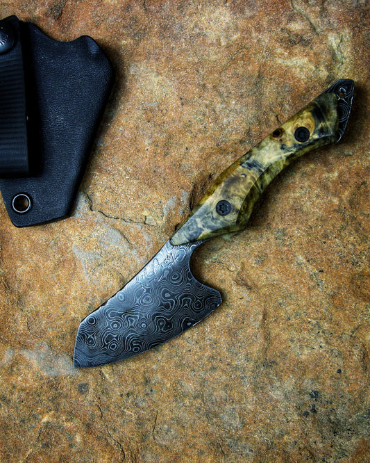 Forged EDC/Skinner - Damascus, buckeye burl